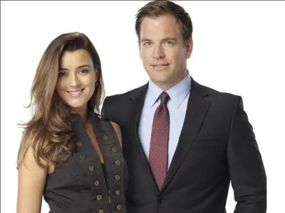 NCIS : qui sont-ils ?