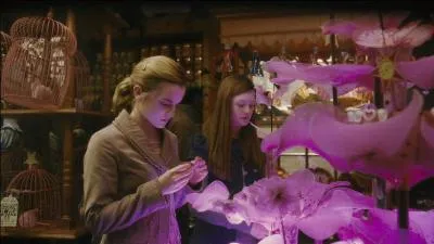 Parmi ces potions magiques suivantes, il y a l'Amortentia qui est le plus puissant des philtres d'amour. Elle dégage les senteurs qui nous attirent le plus. Que ressent Hermione Granger lorsqu'elle s'approche de cette potion ?