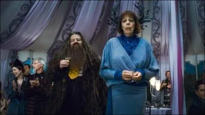 On trouve aussi des Géants dans le monde des sorciers. On sait que Rubeus Hagrid fait partie de la famille des Géants. De qui tombe-t-il amoureux vers le milieu de la saga ?