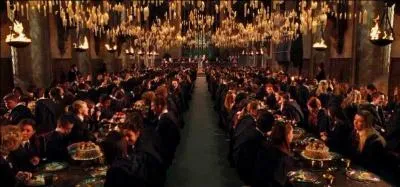 En terme de moyen de transport, les sorciers ont la possibilité d'utiliser également le réseau de cheminées. Il leur suffit pour cela de se placer dans une cheminée avec de la Poudre de Cheminette et d'annoncer la destination voulue. Par quel lieu ce réseau ne passe-t-il pas ?