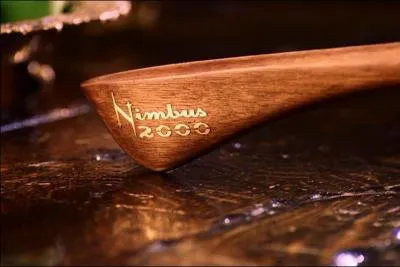 Mais bien entendu, le moyen de déplacement le plus célèbre pour les sorciers reste sans aucun conteste le balai. Il en existe de plusieurs marques. Quel fut le premier balai reçu par Harry Potter ?