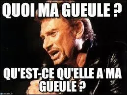 En 1979, qui chantait : 
"Quoi ma gueule ? 
Qu'est-ce qu'elle a ma gueule ? 
Quelque chose qui ne va pas ? 
Elle ne te revient pas ?" ?