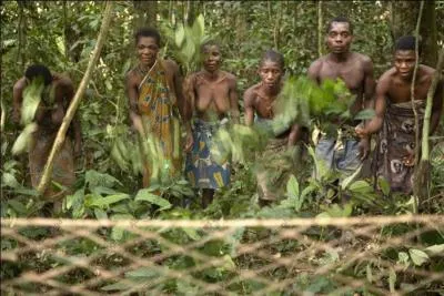 Sur notre planète bleue, nous sommes approximativement 7 milliards d'individus, d'après vous combien reste-t-il de chasseurs cueilleurs ?