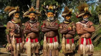 A quel animal associez-vous la photo ?