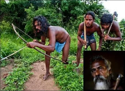 Regardez bien ces chasseurs, quel pays leur attribuez-vous ?