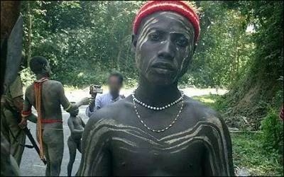 Ils ont la peau noire, mais là est le piège, où vivent les Négritos ?