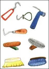 Avec quoi commençons-nous le pansage du cheval ?