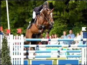 Quelle discipline ce cheval pratique-t-il ?