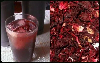 Mon premier est l'ancêtre du vélo.
Mon second use progressivement.
Mon tout est une boisson africaine tirée de l'hibiscus.