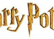 Quiz Harry Potter : les mtiers