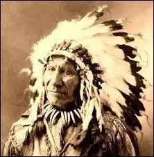 Quel succ&egrave;s a fait conna&icirc;tre The Shadows ?