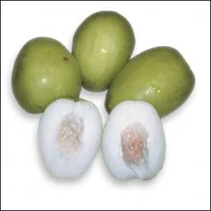 Connaissez-vous ce fruit ?