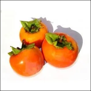 Si on faisait une petite salade de...