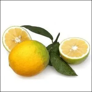 Ce fruit est un hybride de l'orange amère et du citron vert :