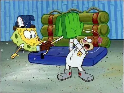 Sur cette image, quel sport pratique Bob ?