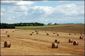 Si Gertrude amène les cigognes, que fait Barthélémy ?
