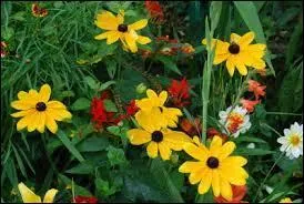 Si août couve, que fait septembre ?