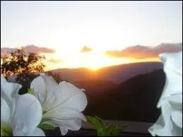 Si vous ne voulez pas suer à la St Agapit, que vous faut-il enlever ?