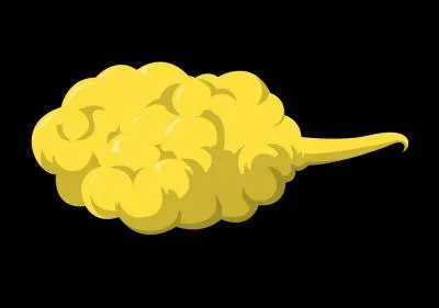 Quelle est la condition requise pour pouvoir monter sur cet objet ?