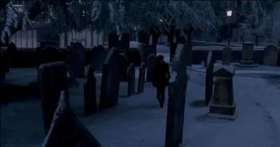 Ce sortilège, afin qu'il soit exécuté correctement, demande qu'un sorcier soit le gardien du secret. Les Potter se tournent naturellement vers Sirius Black. Pensant que cela serait trop évident, ce dernier leur propose Peter Pettigrow. Quel est censé être son rôle exactement ?