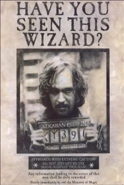 Sirius Black est arrêté immédiatement et condamné à la prison d'Azkaban pour le meurtre de treize personnes et pour avoir trahi les Potter en les dénonçant à Lord Voldemort. Il restera enfermé pendant plus de douze ans entre 1981 et 1992. Comment a-t-il résisté aux Détraqueurs sans devenir fou ?