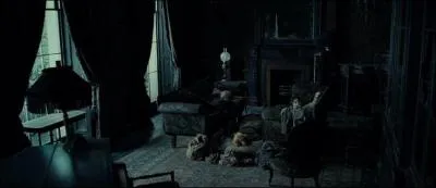 Très vite, dès que Sirius Black à l'âge d'entrer à Poudlard, des désaccords commencent à apparaître avec sa famille. Sur quels sujets Sirius Black n'est-il pas du tout d'accord avec l'ensemble de sa famille ?