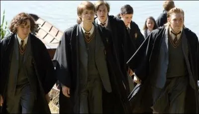 Pendant ses premières années à Poudlard, Sirius Black se lie d'amitié avec d'autres sorciers faisant eux aussi partie de la maison Gryffondor. Parmi les propositions suivantes, laquelle désigne les sorciers avec qui Sirius Black trouvera rapidement une complicité ?