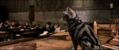 On sait que le nom de Sirius Black sous sa forme d'Animagus est Patmol. Néanmoins, quel est l'appellation que l'on peut trouver dans la version originale de la saga Harry Potter ?