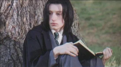 Durant sa scolarité, Sirius Black aimait beaucoup faire des blagues aux autres étudiants pour faire passer le temps. Quel élève aimait-il particulièrement prendre à partie avec James Potter ?