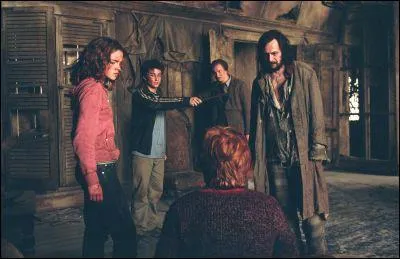 Pendant ces années là, un beau jour, Sirius Black a fait une blague à Severus Rogue qui a failli lui coûter la vie. Sirius Black l'informe d'un passage menant à la Cabane Hurlante via le Saule Cogneur. Mais quel est le problème ?