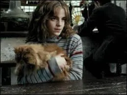 Comment s'appelle le chat d'Hermione ?
