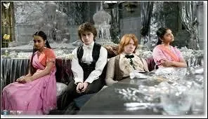 Au bal de Noël, qui est le cavalier d'Hermione en quatrième année ?