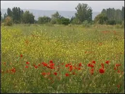 Quand les moissons sont-elles des secondes ?