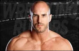 Quel numéro d'entrée a-t-il tiré au Royal Rumble 2013 ?