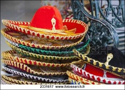 Synapse a rapporté aussi ces souvenirs de vacances, bien utiles par temps de canicule. D'où vient-il ?