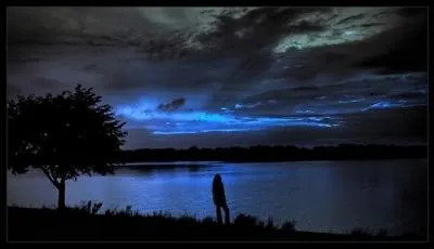 "Le parfum de l'âme, c'est le souvenir". C'est une citation d'Aurore Dupin :