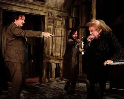 Vers l'été 1994, Remus Lupin reste persuadé que Sirius Black a bien trahi les Potter. Son opinion va changer lorsqu'il est réuni, dans la Cabane Hurlante, avec Sirius Black, Peter Pettigrow, Harry Potter et ses amis (et également Severus Rogue). Quel est le véritable traître des Potter ?
