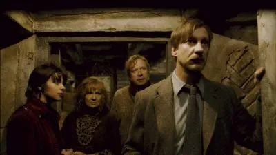 Remus Lupin retourne peu après auprès de toute sa famille pour assister à la naissance de son fils. Comment Remus Lupin et Nymphadora Tonks décident-ils d'appeler leur fils ?