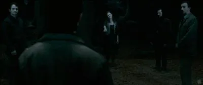 Dans la Forêt Interdite, Harry Potter retrouve Remus Lupin en activant la Pierre de Résurrection. Il lui explique qu'il espère que son fils comprendra le sens de son sacrifice. Quelle récompense reçoit-il à titre posthume ?