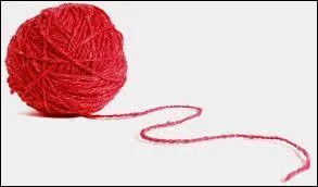 Il est à la retraite, et joue à beaucoup de quiz, je vous présente Hippo...