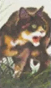 Quelle est sa personnalité ?