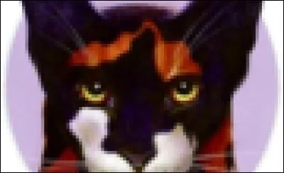 Qui rencontre-t-il dans la forêt ?