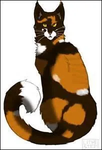 Feuille de Houx était en patrouille lorsqu'elle croit apercevoir un grand félin qui était en fait Sol. 
Quel est ce grand félin ?