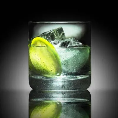 Que rajoutez-vous dans le gin pour vous rafraîchir avec un gin tonic ?