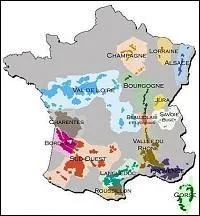 Combien sont autorisés en France ?