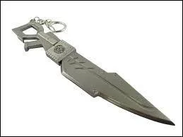 À qui est ce Teigu ?