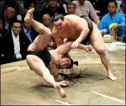 Quel est le rang le plus élevé que peut atteindre un lutteur sumo ?