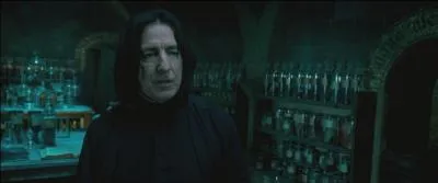 Severus Rogue : "On est sentimental."
Harry Potter : "C'est privé."
Severus Rogue : "Pas pour moi. Ni pour le Seigneur des Ténèbres si vous ne faites pas de progrès ! Chaque souvenir est une arme qu'il utilise contre vous. Vous ne tiendrez pas deux secondes s'il pénètre dans votre esprit ! "