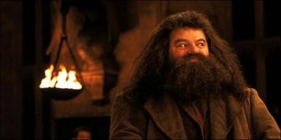 Harry Potter : "Hagrid, vous savez qui m'a fait cette cicatrice."
Rubeus Hagrid : "Tu sais Harry, tous les sorciers ne tournent pas très bien. Un jour, un sorcier a très mal tourné. Il s'appelait V..., il s'appelait V..."
Harry Potter : "Vous voulez peut-être l'écrire ?"
Rubeus Hagrid : "Oh non, je sais pas l'écrire. Très bien, Voldemort."
Harry Potter : "Voldemort ! "
Rubeus Hagrid : "Chut ! "