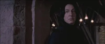 "Il détient Patmol. Il détient Patmol là où la chose est cachée."
"Patmol, c'est quoi ce truc ? De quoi veut-il parler Rogue ?"
"Aucune idée."